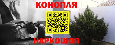 индика Пугачёв