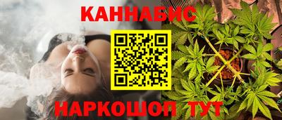 индика Пугачёв