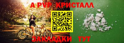 индика Пугачёв
