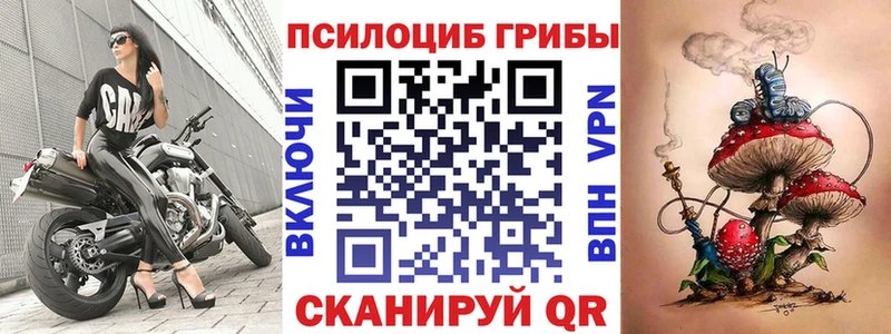 Галлюциногенные грибы Psilocybine cubensis  что такое наркотик  Серов 
