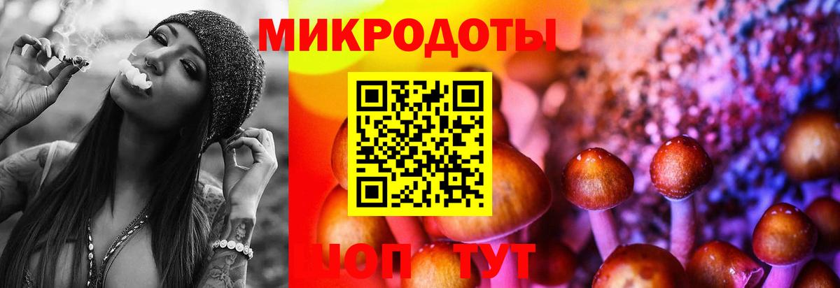 Псилоцибиновые грибы мицелий  где можно купить   Серов  Вход с VPN 